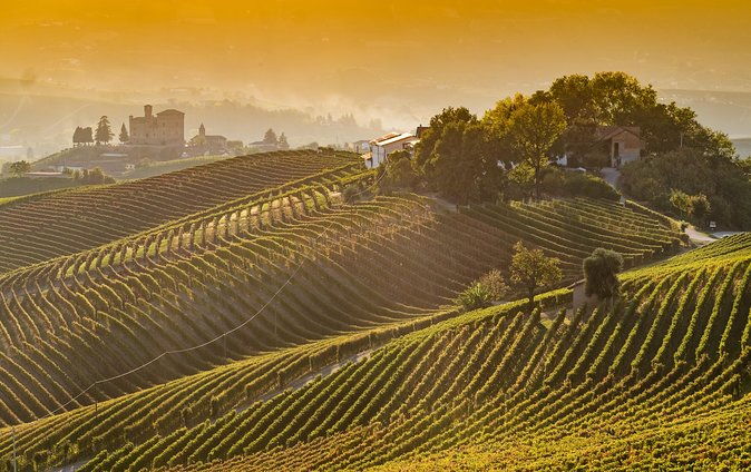 private-tour-barolo-wine-tasting-in-langhe-area-from-torino