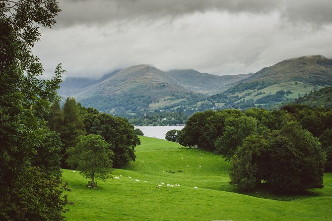 private-tour-beatrix-potters-favourite-lakeland-countryside