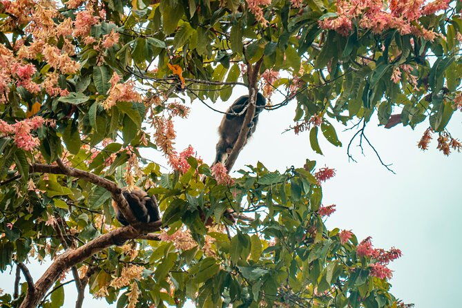 private-tour-from-guayaquil-to-churute-ecological-reserve