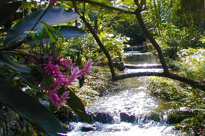 private-tour-from-ocho-rios-to-blue-hole-konoko-falls