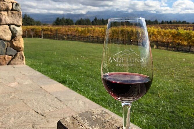 private-tour-in-valle-de-uco