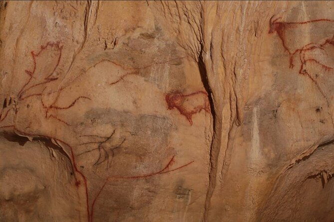 private-tour-into-an-original-prehistoric-cave-by-exploreo-sarlat
