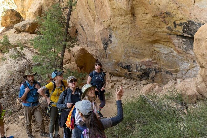 private-tour-of-mesa-verde-with-an-archeologist-trained-guide-2