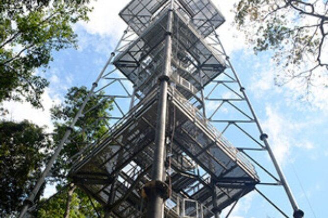 private-tour-of-musa-botanical-garden-amazon-museum