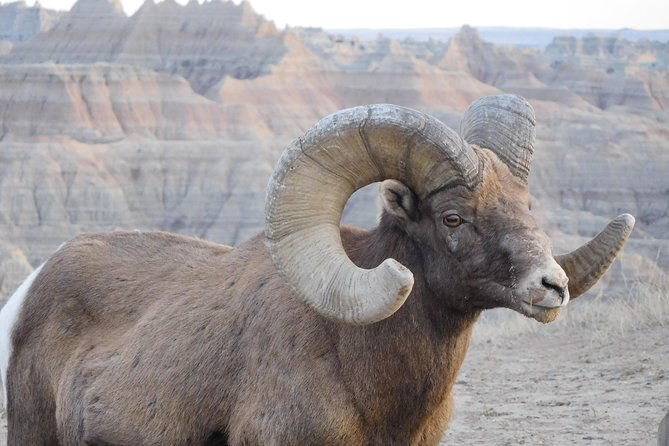 private-tour-of-the-badlands-with-local-experts