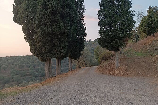 private-tour-oil-production-leonardos-house-tasting
