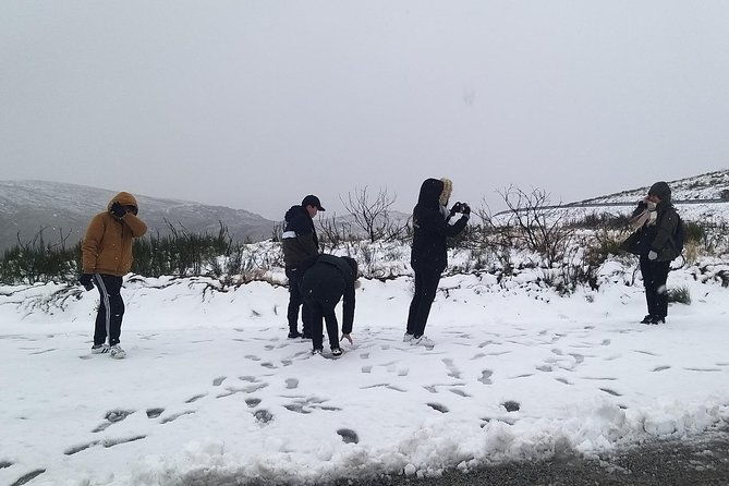 private-tour-through-serra-da-estrela-park-and-its-famous-cheese-2