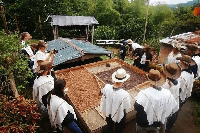 private-tour-to-coffee-farm-farm-of-your-choice