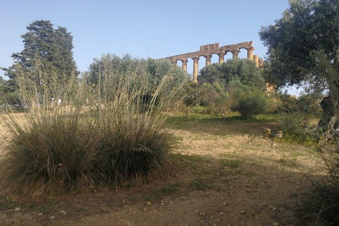 private-tour-to-segesta-erice-and-wine-tasting-in-marsala-2