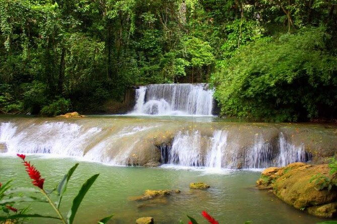 private-tour-to-ys-falls-appleton-rum-tour-and-pelican-bar-from-montego-bay