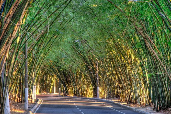 private-transfer-from-airport-to-salvador-up-to-3-people