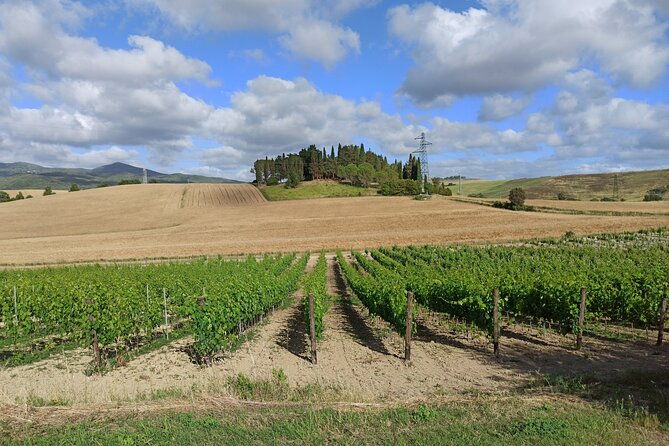 private-transfer-from-siena-to-florence-with-stop-in-s-gimignano-monteriggioni