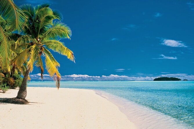private-transfer-in-punta-cana