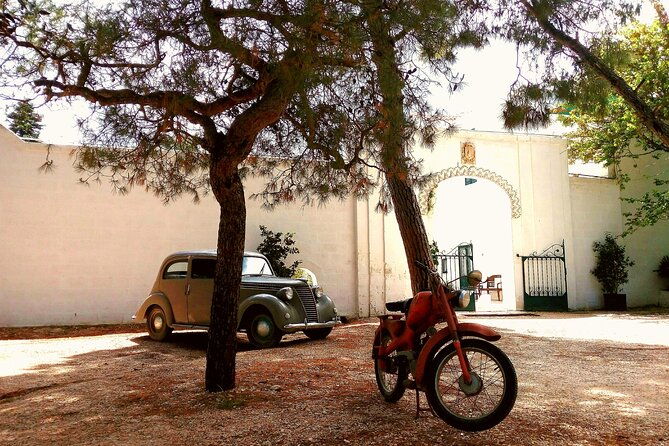 private-tuk-tuk-tour-of-the-millenary-olive-groves-in-ostuni
