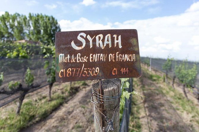 private-uco-valley-tour-paired-lunch-wine-tastings-from-mendoza