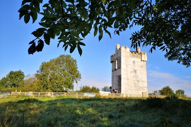 private-visit-in-an-irish-castle-home