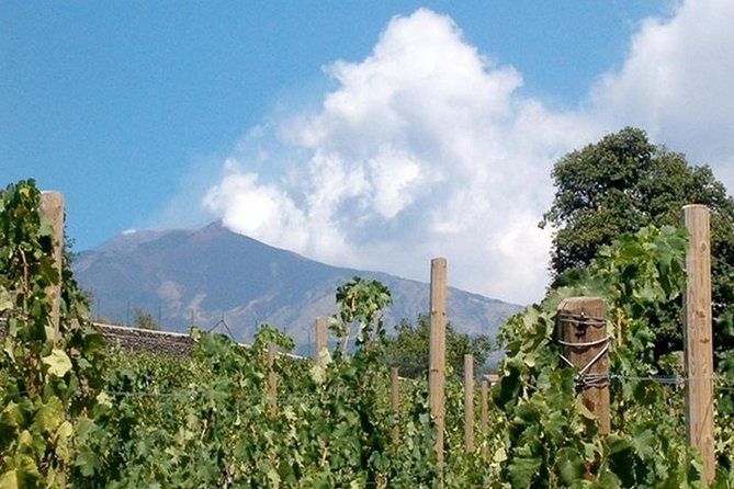private-visit-to-the-cellars-of-etna-with-wine-tasting