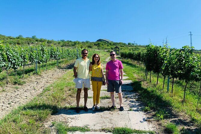 private-wine-food-heritage-tour-from-prague-to-bohemia