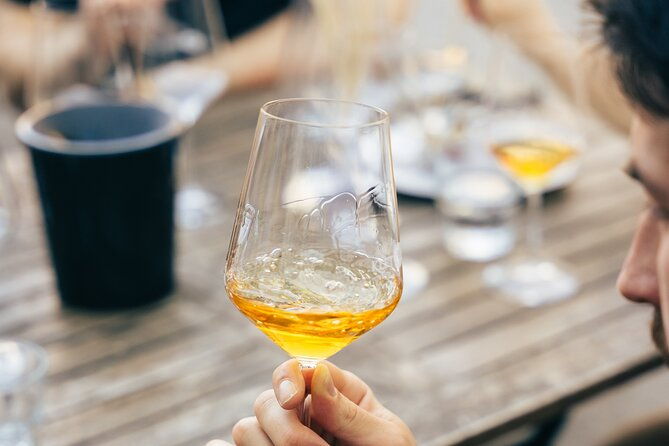private-wine-tasting-experience-in-ljubljana-2