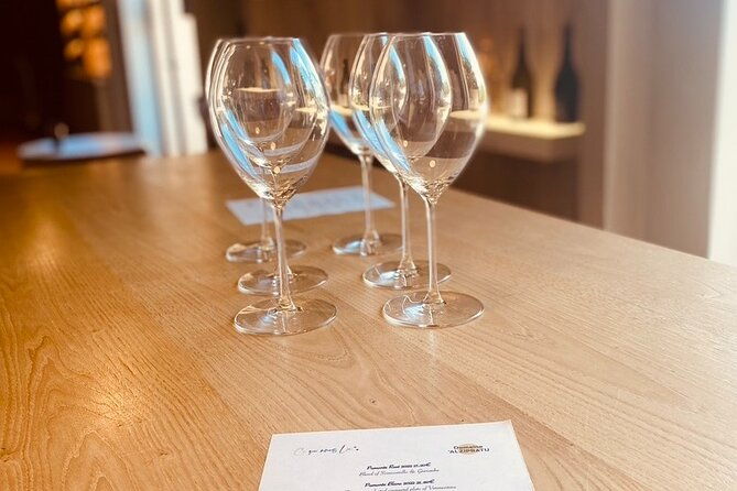 private-wine-tasting-tour-around-ile-rousse-and-calvi-2