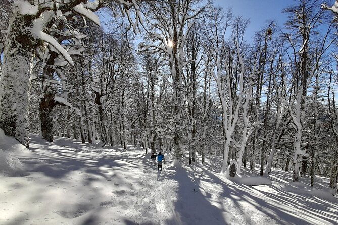 private-winter-trekking-experience-in-bariloche