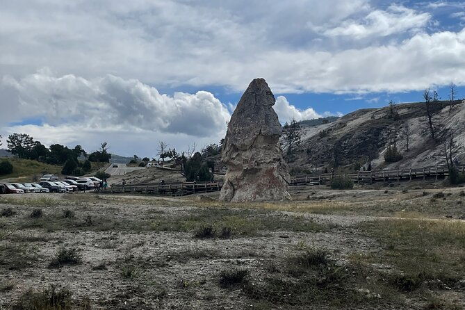 private-yellowstone-wildlife-and-photo-tours-upper-loop-cody-wy-2