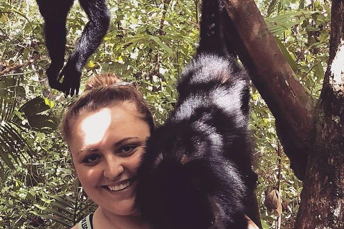 private-zipline-baboon-sanctuary-experience