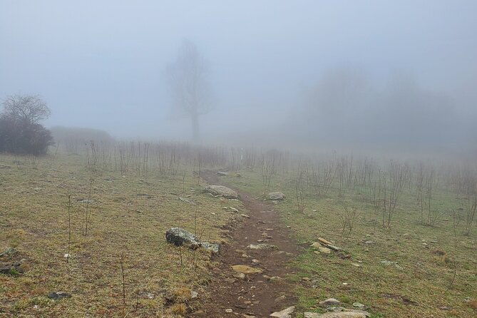 privately-guided-full-day-hike