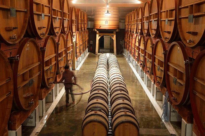 provence-private-full-day-wine-tour-with-wine-tasting