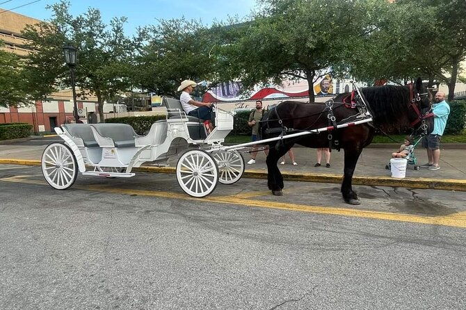 public-group-historical-carriage-tour-of-galveston