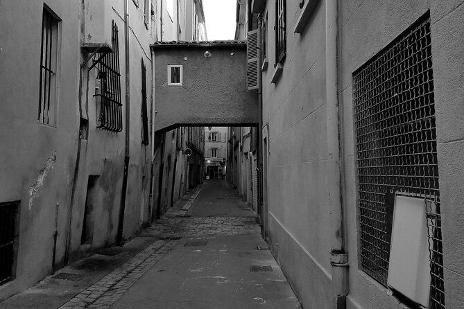 public-visit-of-aix-en-provence-the-streets-are-told-4