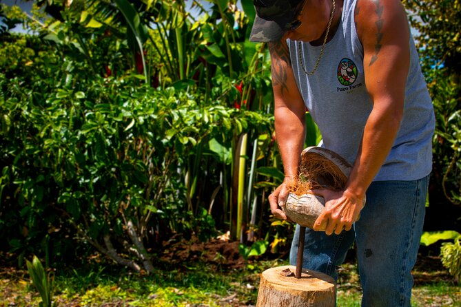 pueo-farm-tour-in-upcountry-kula-maui-hawaii