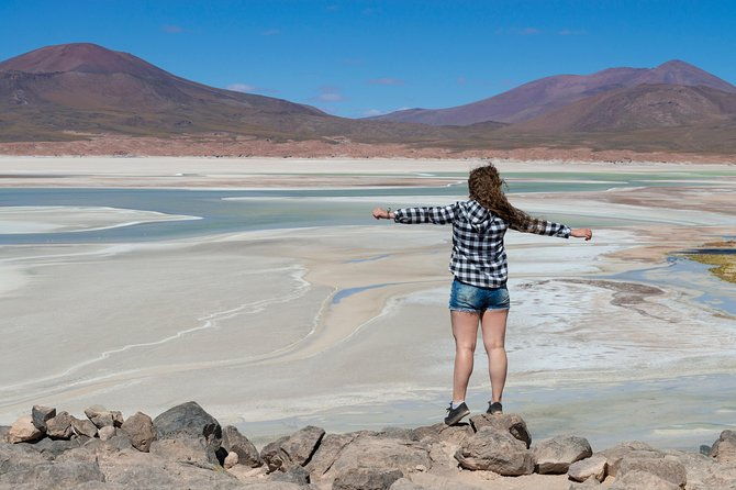 puna-salt-flats-full-day-tour-san-pedro-de-atacama-must-visit