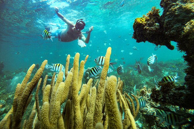 punta-cana-adults-only-snorkel-tour-with-premium-seafood-lunch