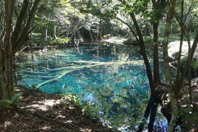 punta-cana-cenote-hoyo-claro-and-juanillo-beach-private-tour