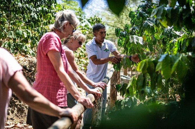 punta-cana-cultural-half-day-tours-in-the-dominican-republic