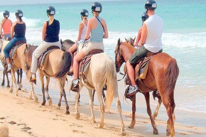 punta-cana-horse-riding-for-beaches-in-field