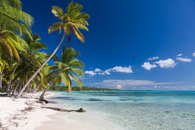 punta-cana-tour-saona-island-all-included-hotel-pickup-catamaran