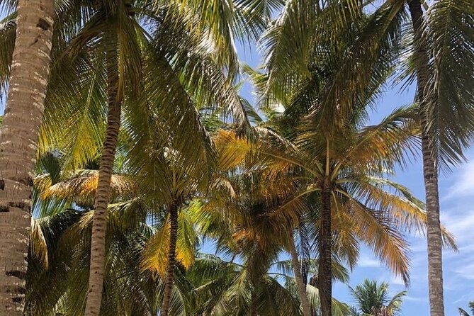punta-cana-village-round-trip-shuttle-punta-cana-airport