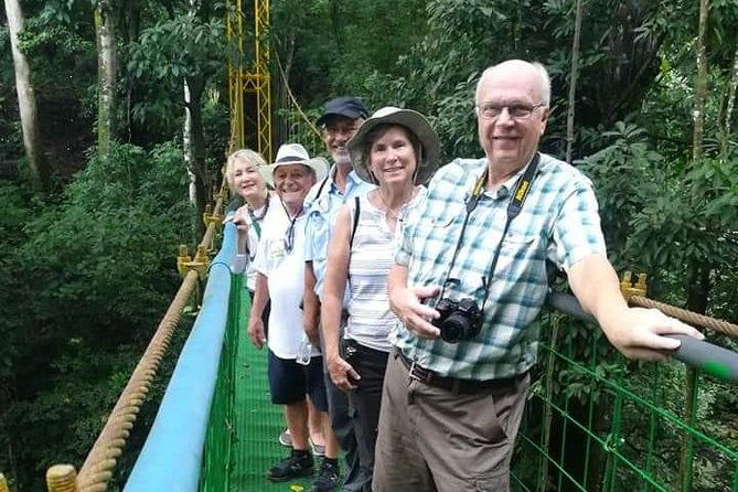 puntarenas-shore-excursion-rainforest-hanging-bridges-skywalk-tour-boat-tour
