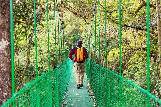 puntarenas-shore-excursion-rainforest-skywalk-tarcoles-river