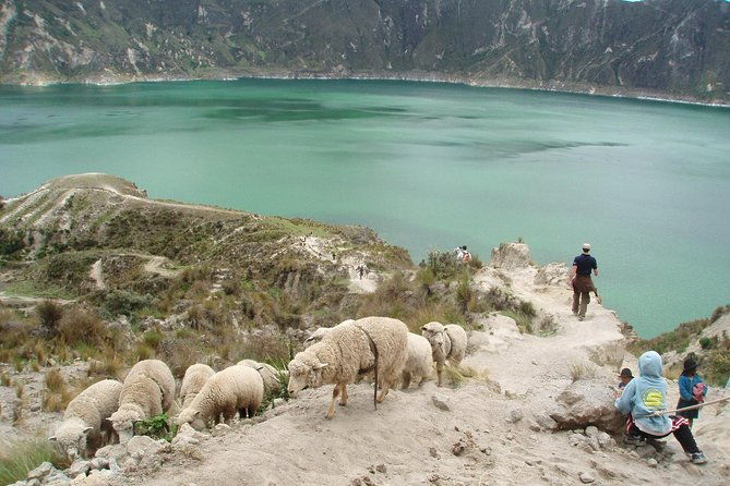 quilotoa-lagoon-and-volcanoes-avenue-day-trip-with-entrances
