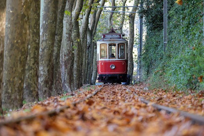 quinta-da-regaleira-and-wine-tasting-in-sintra-all-inclusive-3