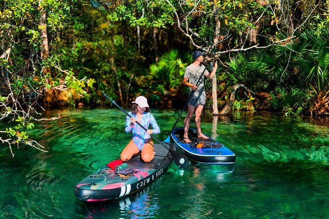 rainbow-springs-paddle-board-adventure