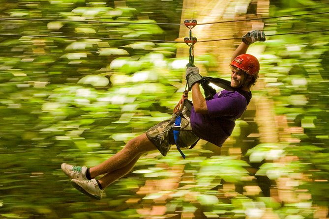 rainforest-canopy-adventure-from-vieux-fort-or-north-island-st-lucia