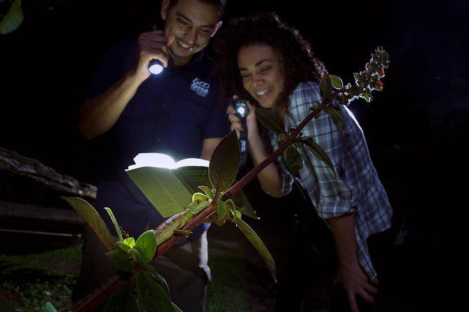 rainforest-night-walk-and-authentic-costa-rican-dinner-from-la-fortuna
