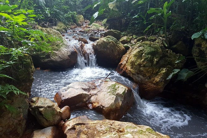 rainforest-waterfall-adventure