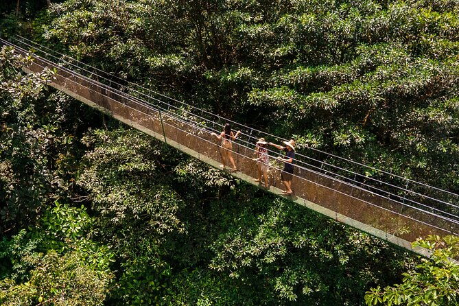rainforest-waterfall-hike-hanging-bridges-and-cultural-lunch-in-local-home