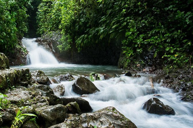 rainmaker-park-hanging-bridges-waterfalls-tour-with-jade-tours