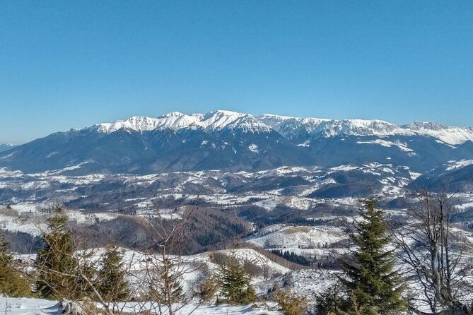 rambling-in-transylvania